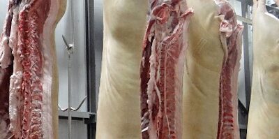 Abril 2020: solo la de carne de cerdo tuvo un comportamiento positivo en la producción cárnica española
